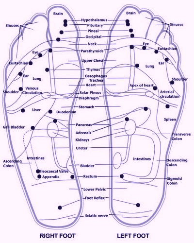 la mappa di riflessologia plantare del dr. fitzgerald